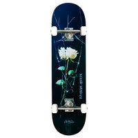 APRIL DASHAWN JORDAN CRACKED ROSE COMPLETE 8" | 8.25" | 8.5"